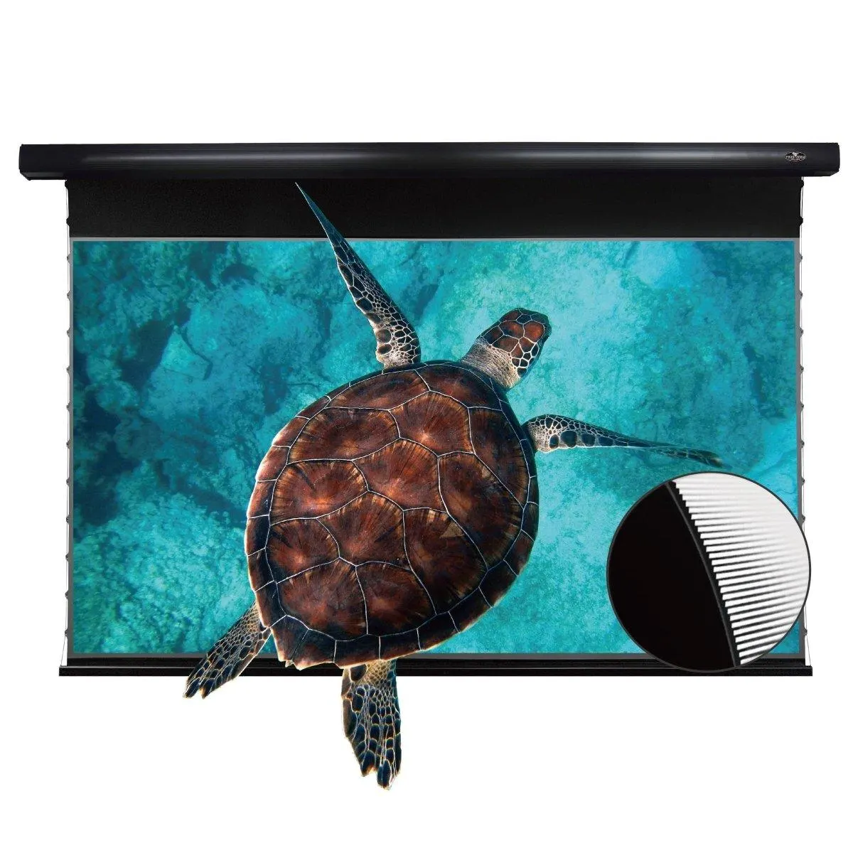 PRO Slimline Motorized Drop-Down UST ALR Projector Screen by VIVIDSTORM — view 4 of 10