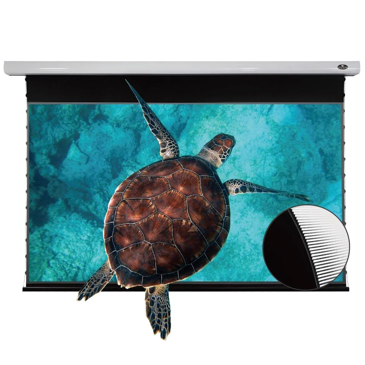 PRO Slimline Motorized Drop-Down UST ALR Projector Screen by VIVIDSTORM — view 3 of 10