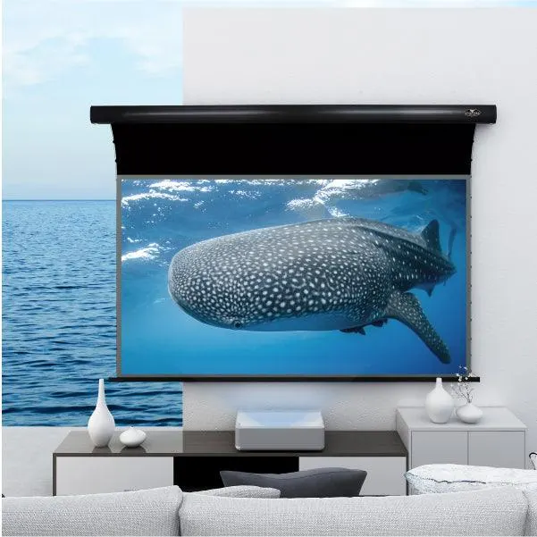 PRO Slimline Motorized Drop-Down UST ALR Projector Screen by VIVIDSTORM — view 8 of 10