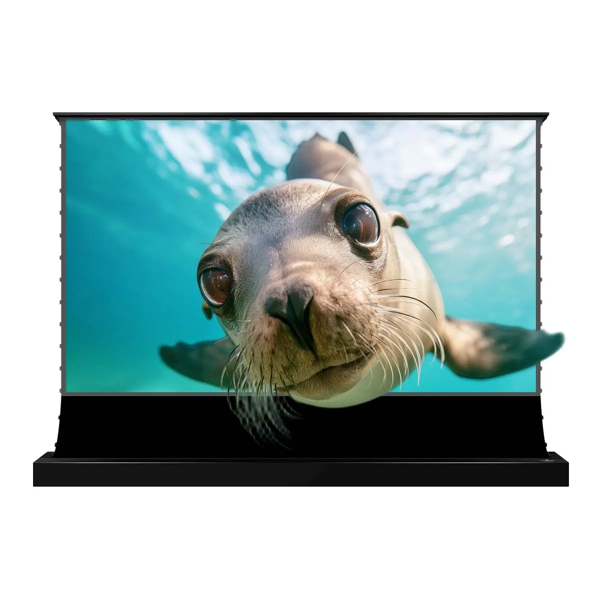 S PRO Motorized Floor-Rising UST ALR Projector Screen by VIVIDSTORM