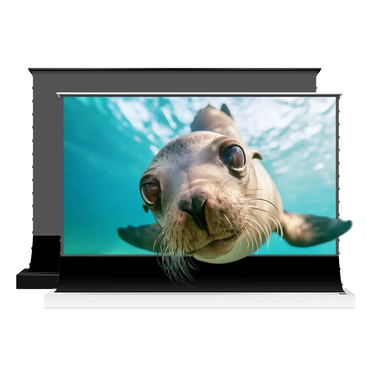 S PRO Motorized Floor-Rising UST ALR Projector Screen by VIVIDSTORM — view 4 of 10
